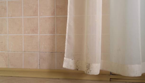 Best Asbestos and Lead Testing During Mold Inspection  in Bedminster, NJ
