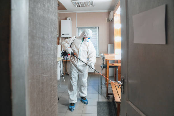 Best Crawl Space Mold Remediation  in Bedminster, NJ