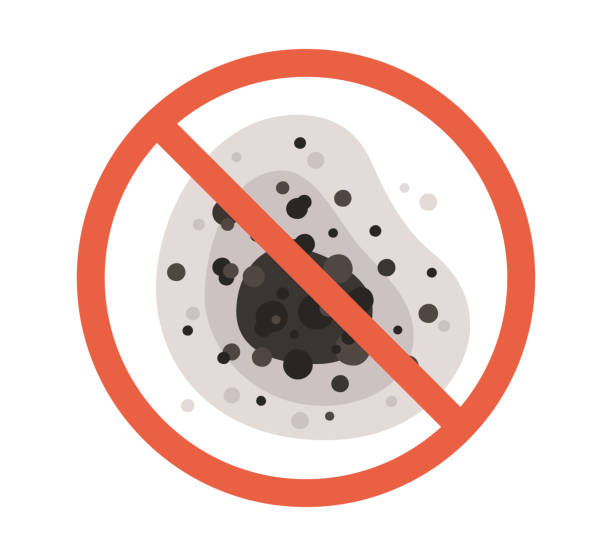 Best Mold Remediation for Healthcare Facilities  in Bedminster, NJ