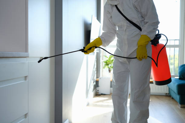 Best Environmental Consulting for Mold Prevention  in Bedminster, NJ