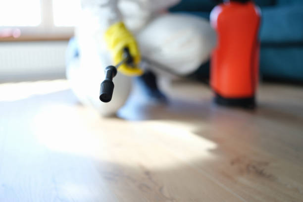 Best Mold Odor Removal Services  in Bedminster, NJ