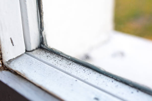 Asbestos and Lead Testing During Mold Inspection in Bedminster, NJ