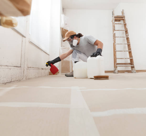 Best Commercial Mold Inspection  in Bedminster, NJ
